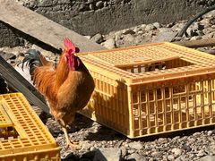 -途中饭店(开化店)