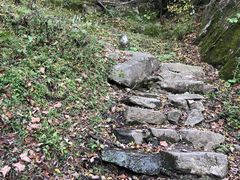 -王顺山国家森林公园