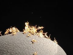 -深圳珠宝博物馆
