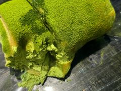 -六六·抹茶66’s SALDessert(保利时光里店)