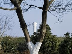 -上海吴淞炮台湾国家湿地公园