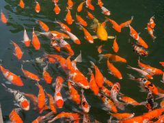 -溪口-滕头旅游景区