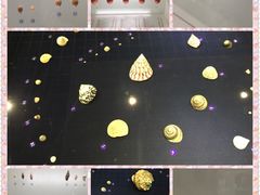 -青岛贝壳博物馆