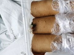 -明艳安顺小裹卷(小锅凉粉.酸汤饭.虎门巷店)