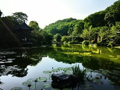 -云溪植物园