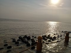 -瀛洲公园