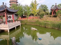 -葛仙湖公园