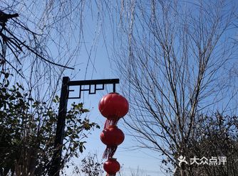 今年的这场疫情来的猝不及防，把所有的计划都打乱了
