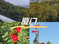 -仙岳公园