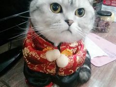 -上海新锦江大酒店