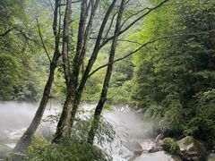 -西岭雪山大飞水景区