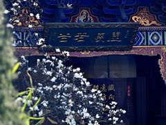 -真庆观