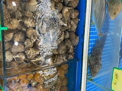 海鲜-阿勇海鲜排档2号(朱家尖店)