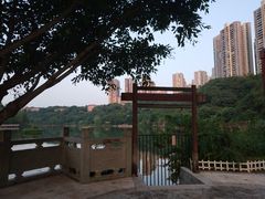 -重庆彩云湖湿地公园