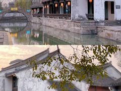 -鲁镇