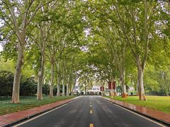 -河南省黄河迎宾馆