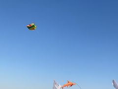 -东疆理想海岸沙滩景区