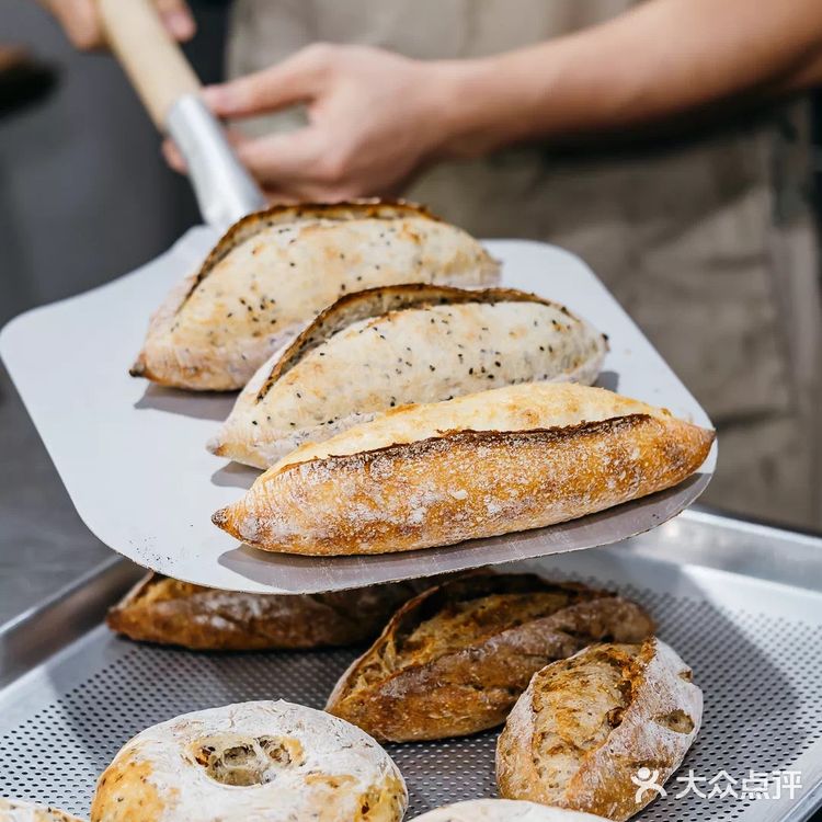 深圳探店 | 春笋下的庭院餐厅开啦🥗🥞☕️🍾