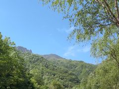 -牛背梁国家森林公园