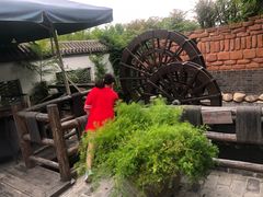 -慢丽江·云南野生菌土鸡锅(西山店)