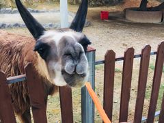 -泉州海丝野生动物世界