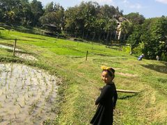 -四季酒店下午茶