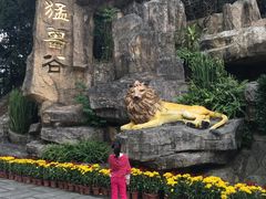-深圳野生动物园