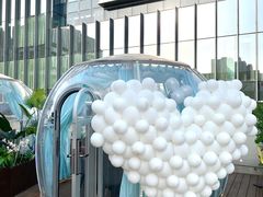 -享月汤皇·海鲜小火锅·聚会(曲江创意谷店)