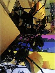 -国际蓝孩BabyInternational(杭州嘉里中心店)