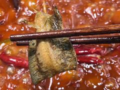 -扎起市井老火锅(乐山总店)