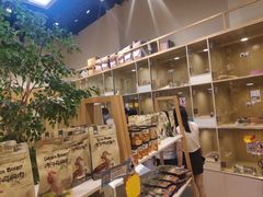 -屋虎猫馆(宝安大仟里店)
