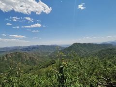 -大岭沟猕猴桃谷风景区
