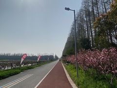 -上海长兴岛郊野公园