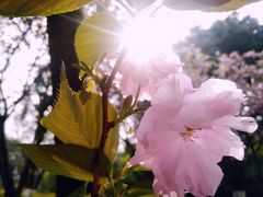 -百林公园-两江幸福广场