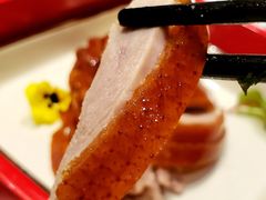 精品鲜橙烤鸭-真地道京味府·鲜橙烤鸭·北京菜(朝外大街东大桥店)