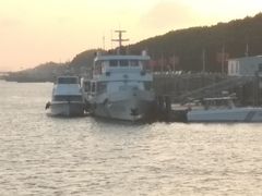 -大湾区中央湿地公园-十九涌