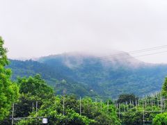-树山生态村