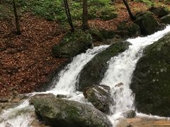-本溪汤沟绿石谷森林公园