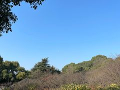 -无锡梅园公园