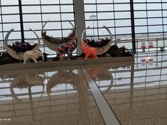 -郑州新郑国际机场-T2航站楼
