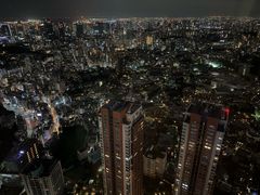 -六本木新城展望台(东京城市景观)