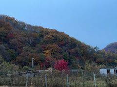 -本溪汤沟绿石谷森林公园