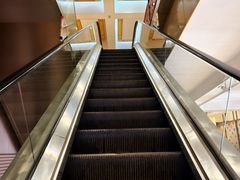 -东莞市大岭山森林公园