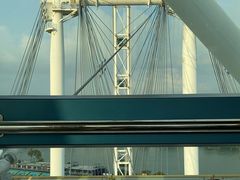 -新加坡摩天观景轮