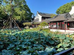 -上海醉白池公园