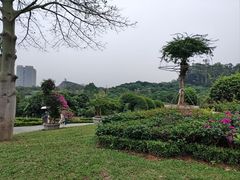-东莞植物园