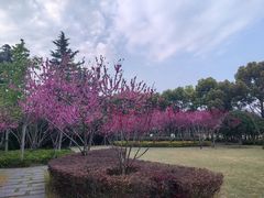 -上海市龙华烈士陵园