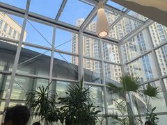 -大树餐厅(红旗街万达店)