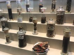 -广东中医药博物馆