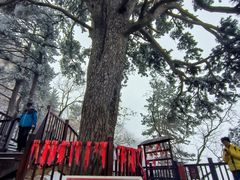 -终南山南五台景区